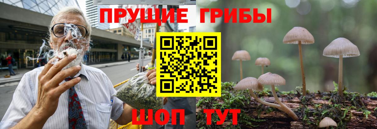 Галлюциногенные грибы Psilocybine cubensis  Вход с VPN  магазин продажи   Псилоцибиновые грибы мицелий  Добрянка 